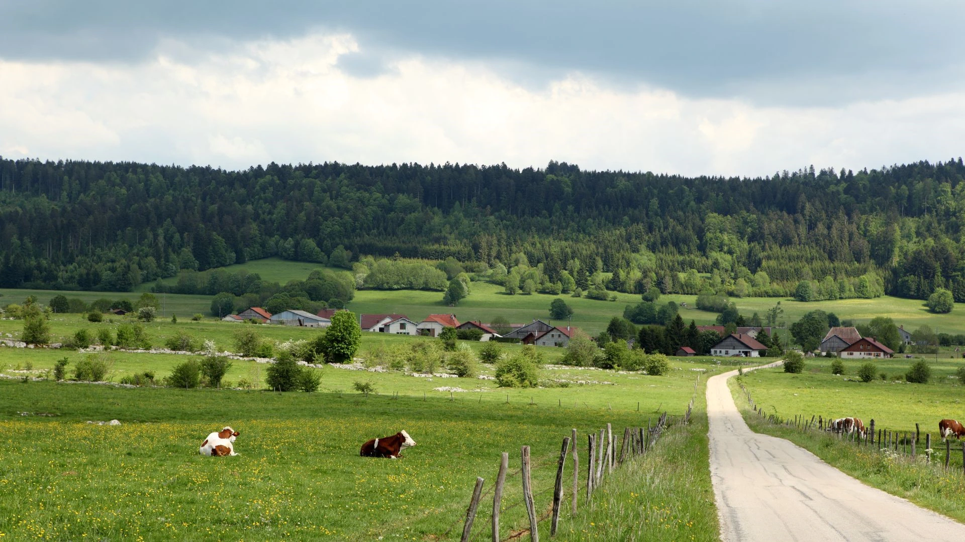 bourgogne-franche-comte